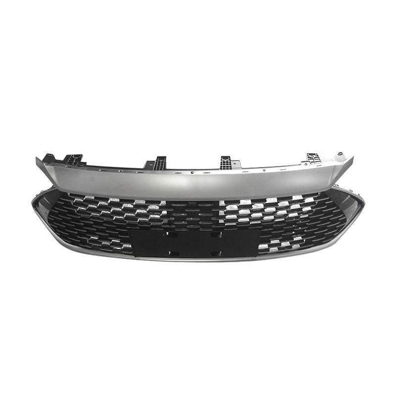 Byd Qin Plus Radiator Barmaqlığı