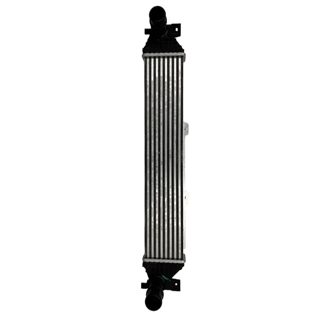 Lixiang L6 Invertor Radiatoru Balaca
